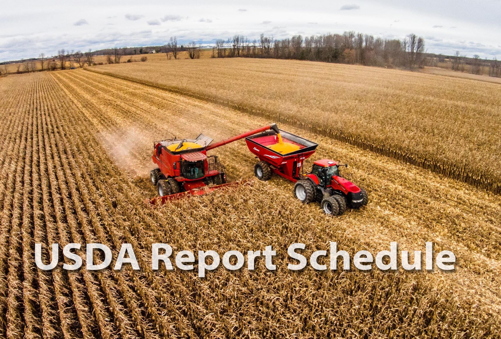 Great Lakes Grain FS > Products & Services > USDA Reports